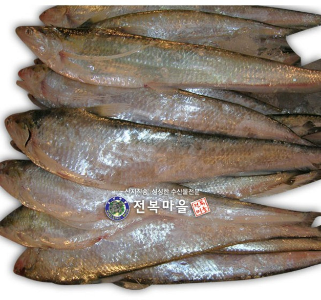 밴댕이 (구이용) 냉동 1.5kg 밴댕이 벤뎅이 생선구이 젓갈 낚시미끼용, 밴댕이 (밴댕이구이용) 3kg, 1개