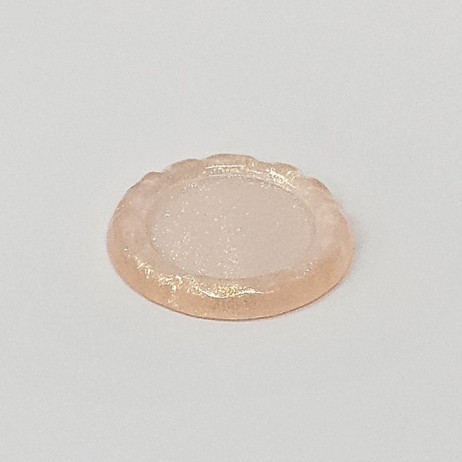 크레스티드 게코 이지클린 슈퍼푸드 밥그릇, 1개, 코랄