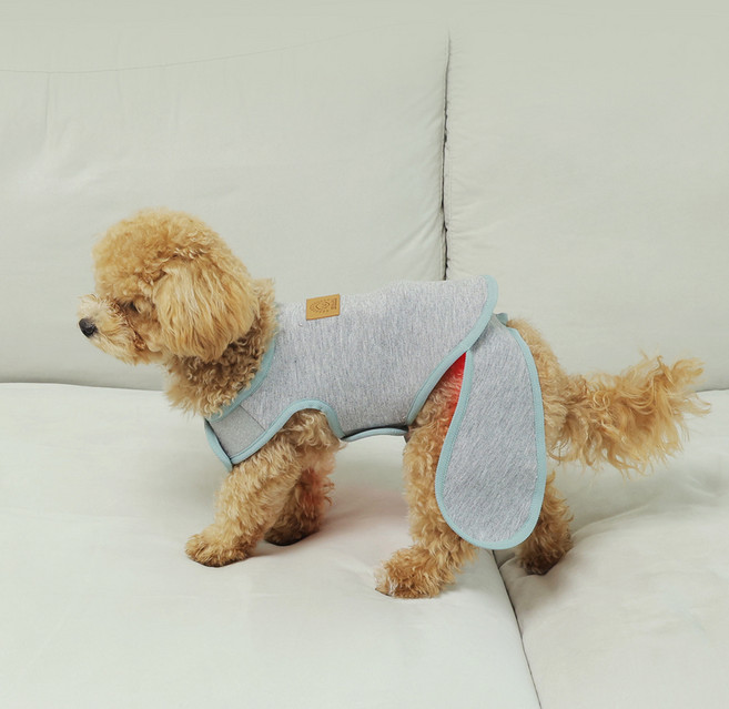 슬가드 반려동물 슬개골 근적외선 (무선 컨트롤러 포함) 강아지 슬개골 탈구 관리