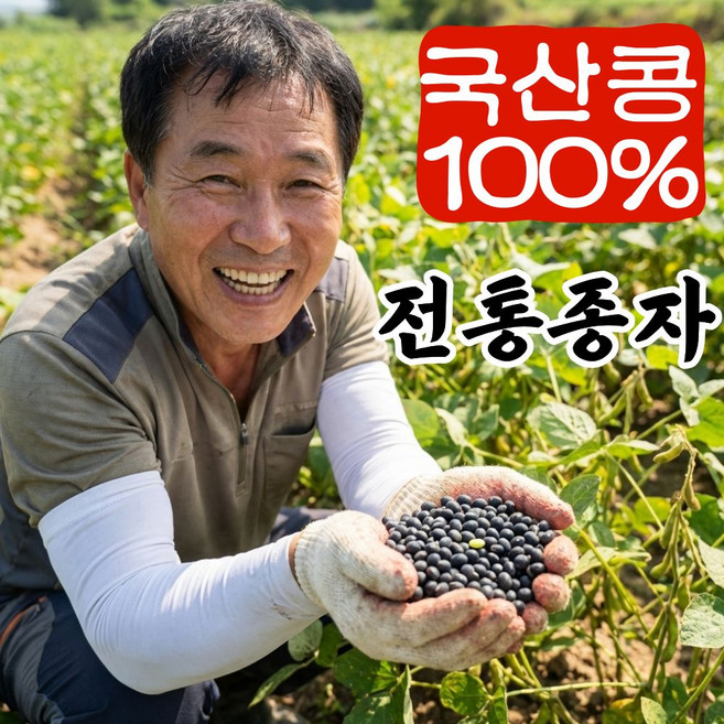더맛곳간 국산 서리태 검정콩 토종 검은콩 서리태콩, 1개, 500g