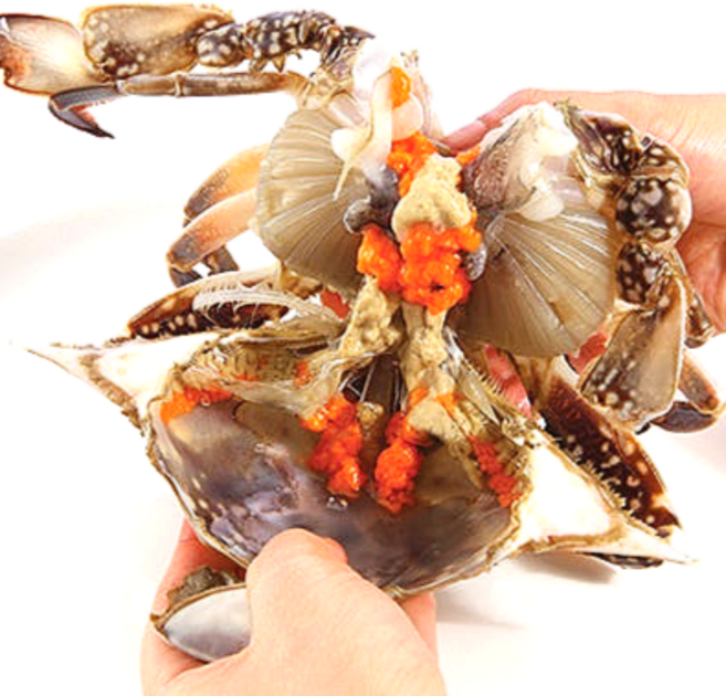 연평도꽃게 냉동 손질 양념게장용 1kg, 1개, 3.암꽃게A급냉 1kg 5~6미알70%간장용(연평도), 3.암꽃게 1kg 5~6미 알70%간장용(연평도)