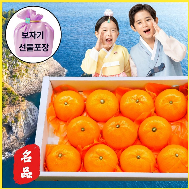 왕가온 프리미엄 한라봉 레드향 천혜향 최고급 과일 명절 선물 세트, 1세트, 2.천혜향 선물용 3kg