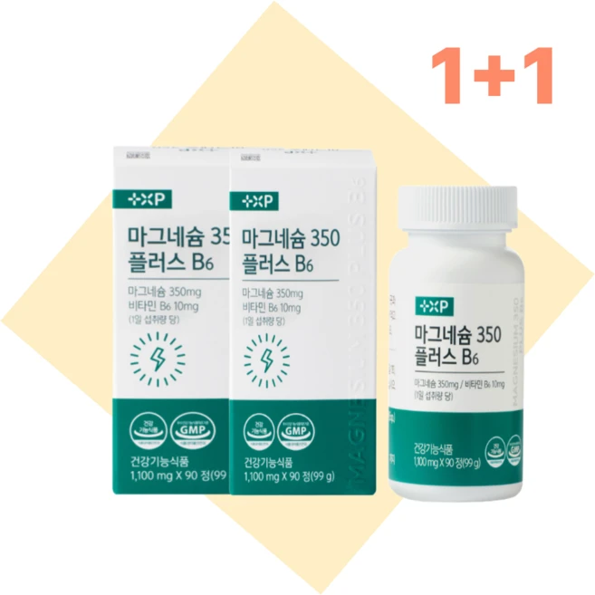 마그네슘 추천 마그네슘 산화마그네슘, 2박스, 90정 - 쿠팡