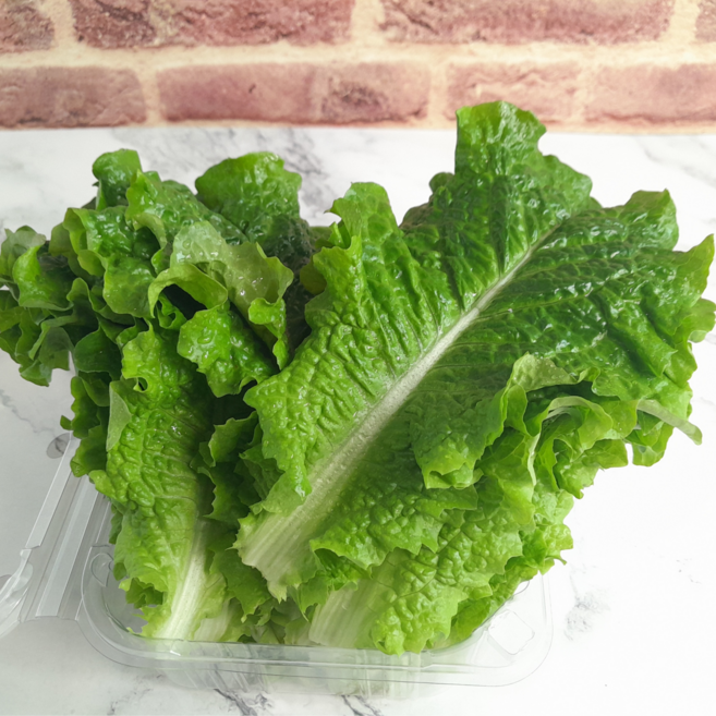 한푸짐 지리산 흑돼지 버크셔 삼겹살 목살 항정살 가브리살 앞다리살(냉장), 1개, 11.지리산고랭지청상추150g