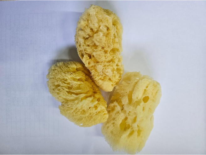 미술용 해면 스펀지, 거친, 1개