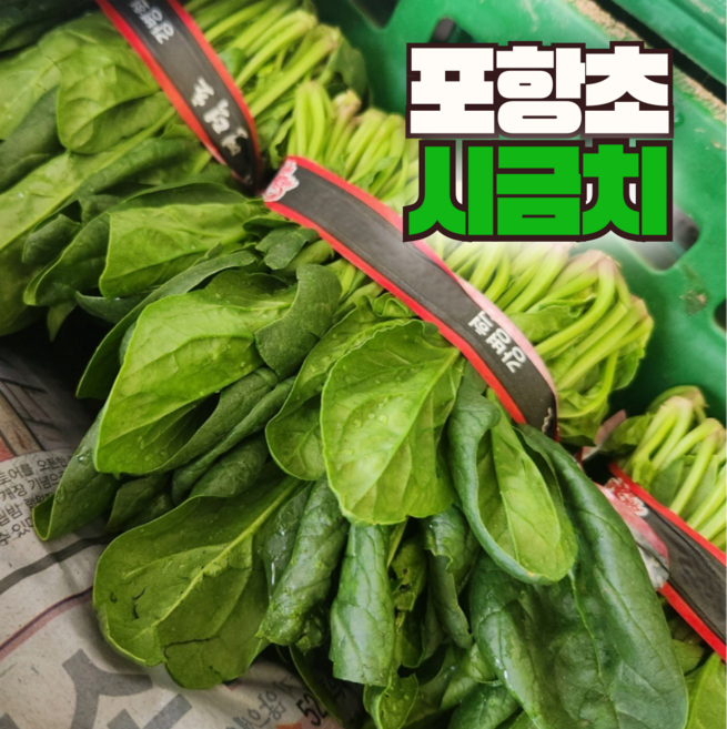 해풍 맞은 청정 남해 포항 노지 시금치, 1박스, 1.2kg