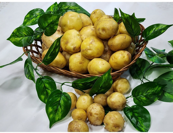 2025년 햇 국내산 포슬포슬 감자 중/대/특, 1박스, 한입용 5kg