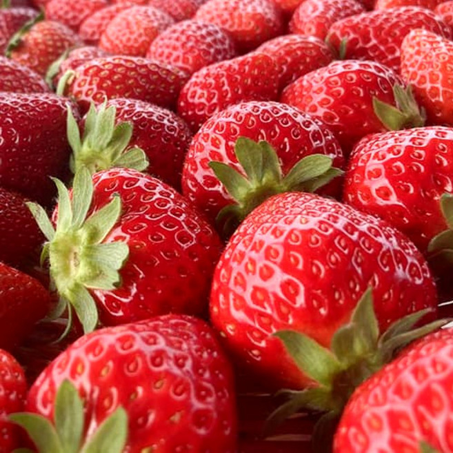 국내산 신맛 단맛 최상급 설향 딸기 SY, 1개, 소과 24과/350g 내외 (1팩)