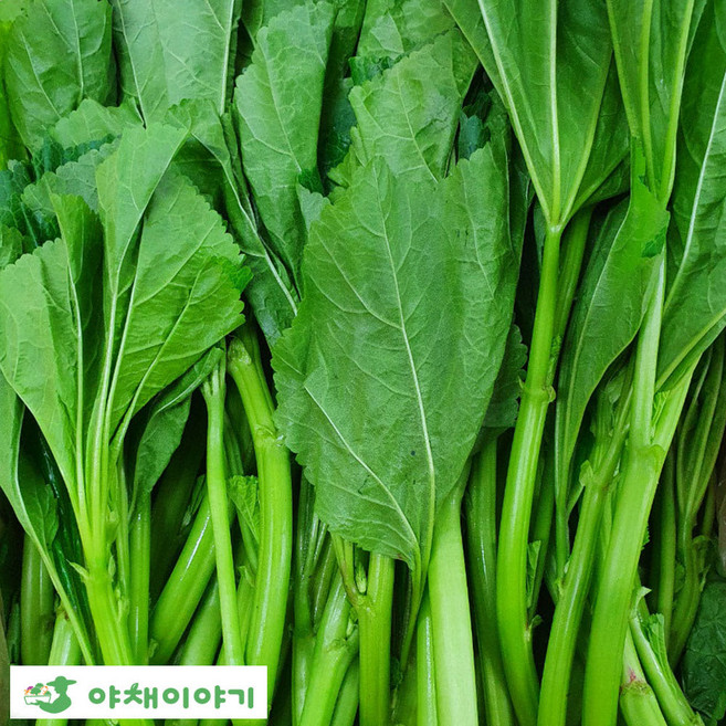 야채이야기 국내산 신선한 아욱 4kg (3.8-4kg), 1박스