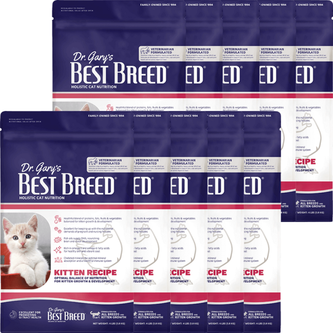 베스트브리드 고양이 홀리스틱 다이어트 기능성 사료, 키튼, 1.8kg, 10개