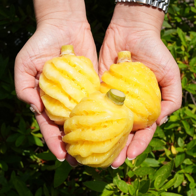 먹기 편한 고당도 미니 파인애플 푸레 1kg, 1개, 미니파인애플1kg