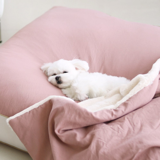홈랩 알러지케어 강아지 겨울 이불 고양이 담요 베개세트 3colors 2size, 1개, 머스타드