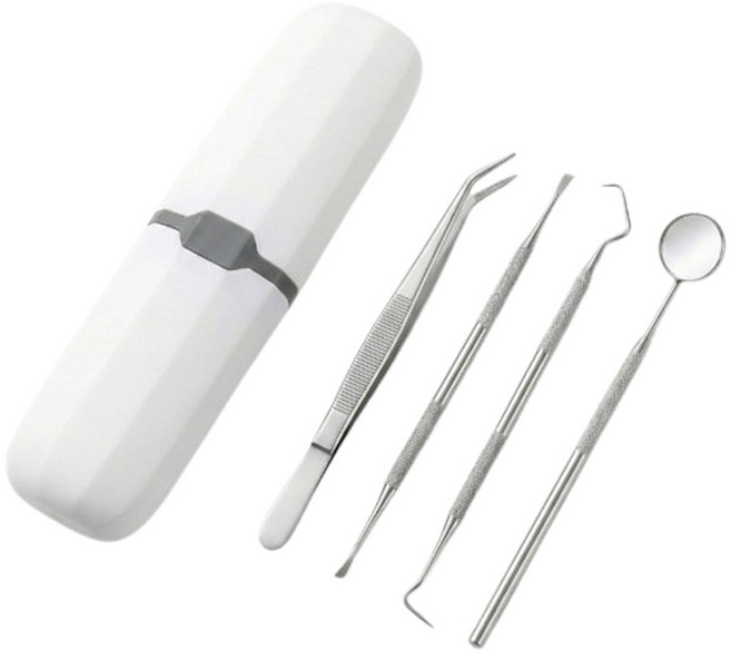 의료기기 치석제거기 4종 케이스 가정용 셀프 스케일러 치석제거 스케일링 치석 치경 고급형, 1개, JMC-DS04(고급)