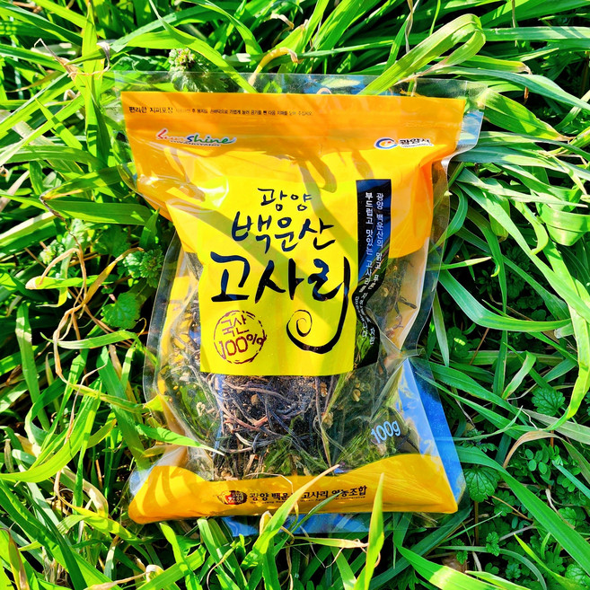 [산지직송] 자연산 햇 고사리 생고사리 건고사리, 1개