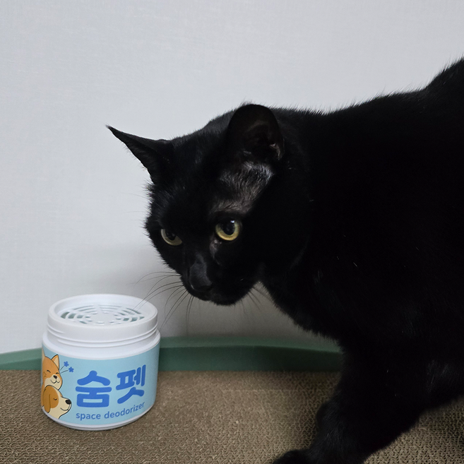 고양이 탈취제 오줌 냄새제거 애견 애완동물 강아지 화장실 탈취, 1개, 350g