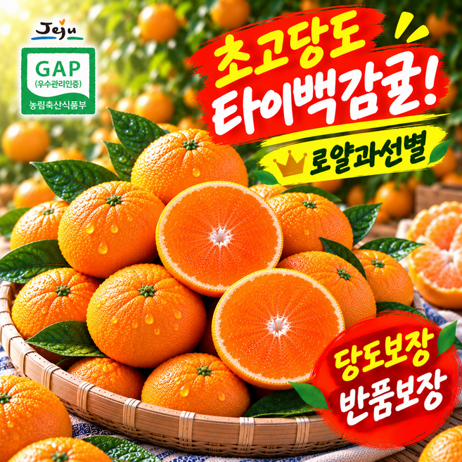 [프리미엄] 산지직송 제주감귤 고당도 타이벡 반품보장 로얄과 3 5 10kg, 1박스, 3kg 로얄과