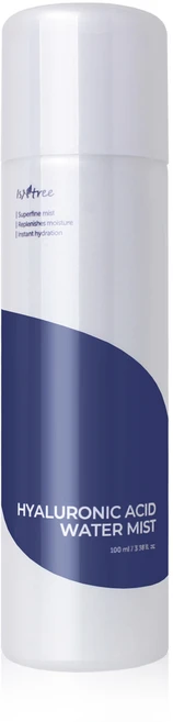 이즈앤트리 히아루론산 워터 미스트, 100ml, 1개 - 쿠팡