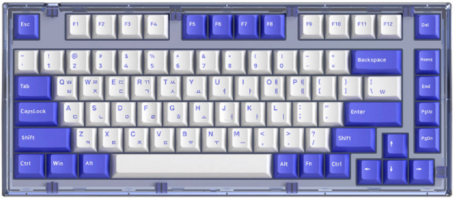 앱코 가스켓 마운트 RGB 교체축 기계식 게이밍 미니 유선 텐키리스 키보드 넌클릭, PURPLE BLUE, AG75, 갈축