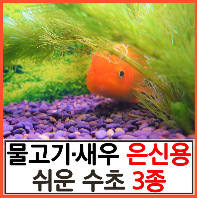 수초하우스) 물고기 새우 은신용 쉬운 수초 3종 세트, 싸게더많이(총30줄기), 1개