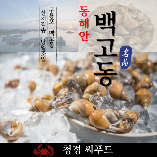 청정씨푸드 동해안 자연산 활 백골뱅이 급냉 1kg, 1개, 급냉 백고동 소소 1kg