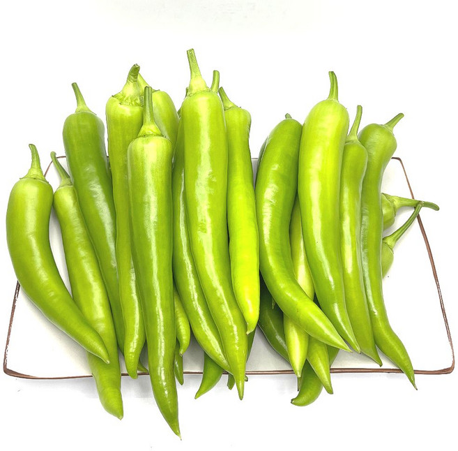 당뇨에 좋은 기능성 고추 혈당 조절에 탁월한 당조 고추, 1개, 당조고추 400g