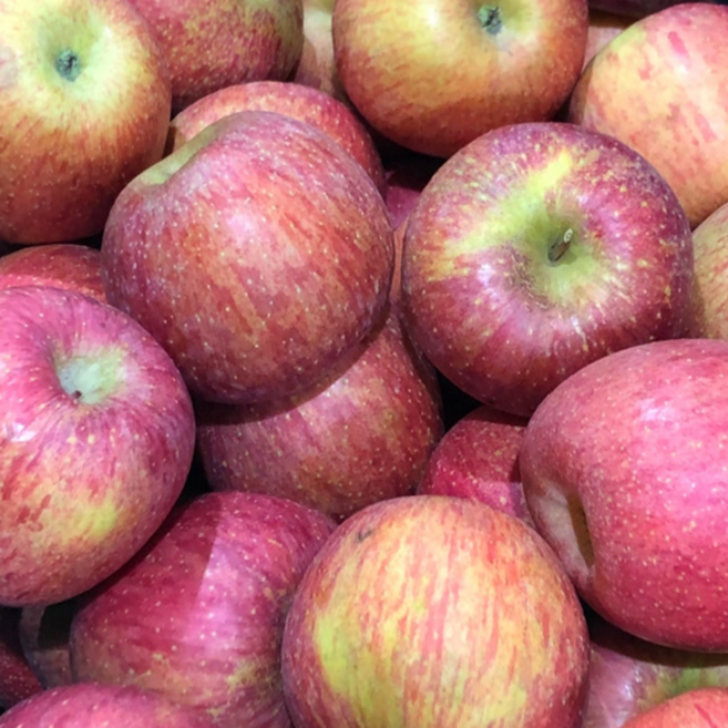 [노마진행사] 최대15brix 껍질째먹는 고당도 꿀 사과, 1박스, 2kg