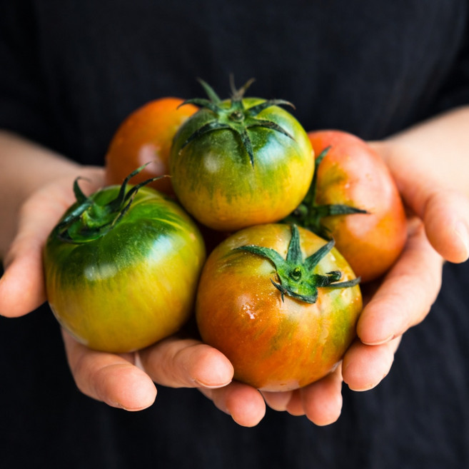 [농장직송]농협인증 새콤단짠 대저 짭짤이 토마토, 1박스, 5kg(프리미업과) 2S-3S)