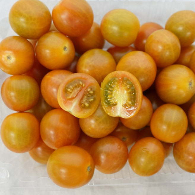 싱싱햇 자몽마토 방울토마토 자몽 토마토, 당일수확, 1박스, 1kg