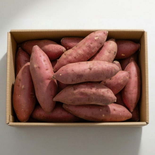 해남 고구마 꿀고구마 세척 특상, 1박스, 10kg