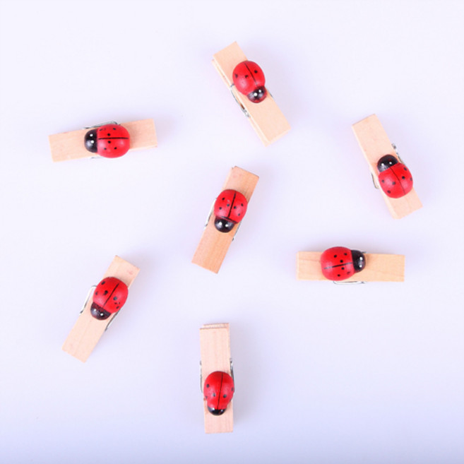 나무집게-무당벌레