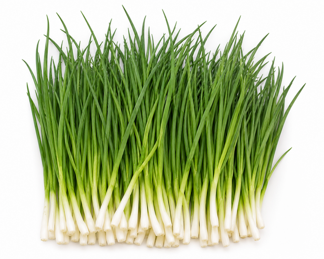 [산지직송] 당일재배/수제 깐쪽파(1kg), 1kg, 1개