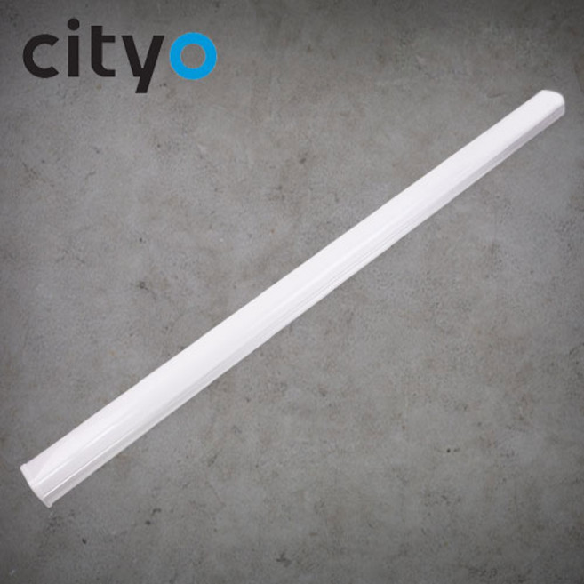 씨티오 LED 레이 직부등 60W 1200mnm 일자등