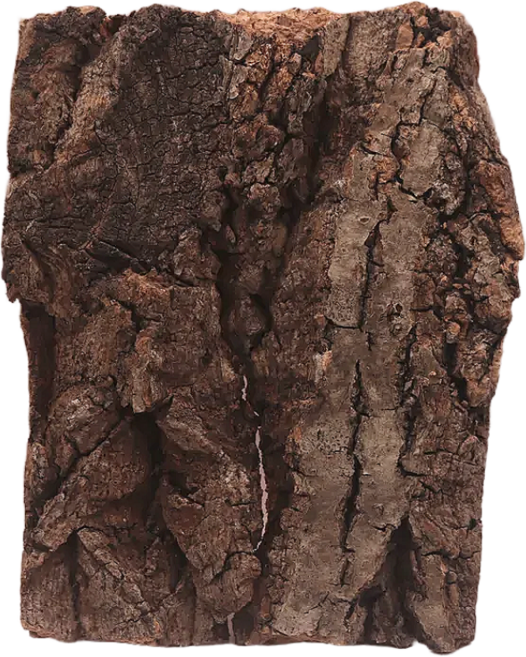 파충류 크레스티드게코 코르크보드 11cm 천연 굴피껍질 등각류 은신처 탈피보드, 1개