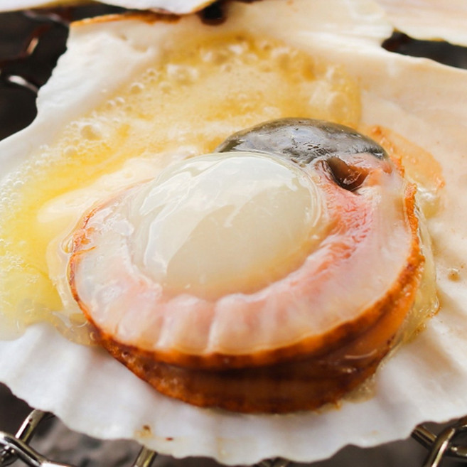 특품 홍가리비 청정해역 통영 가리비, 1박스, 5kg