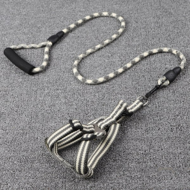 제제펫 앨리스 원형 하네스 리드줄 세트 S, 그레이 Y405PDRL073, 1세트