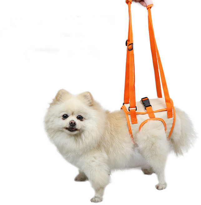 HANTAO 강아지 뒷다리 하네스 보행 보조 하네스 재활훈련 보조기, 오렌지