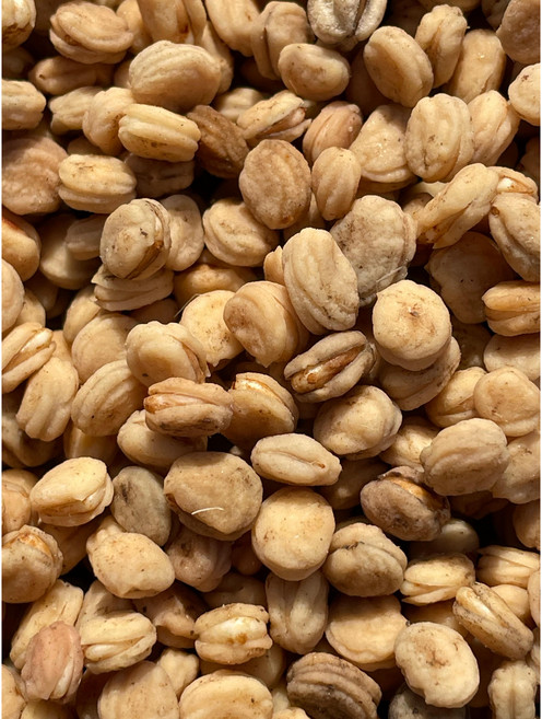 청춘농원 26년 봄 발아 개갑완료 인삼씨 산양삼씨 장뇌삼씨 인삼씨앗, 1박스, 200그램