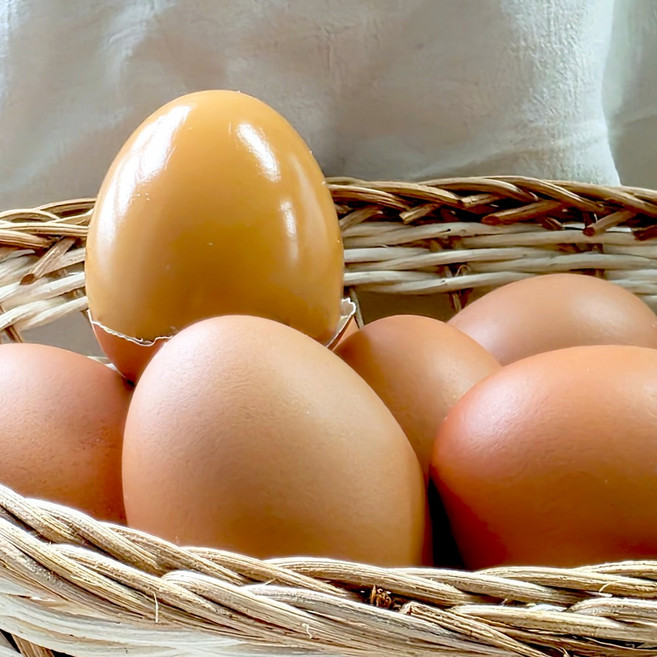 황금빛 구운 유정란 난각번호2번 구운란 40구, 2개, 20구