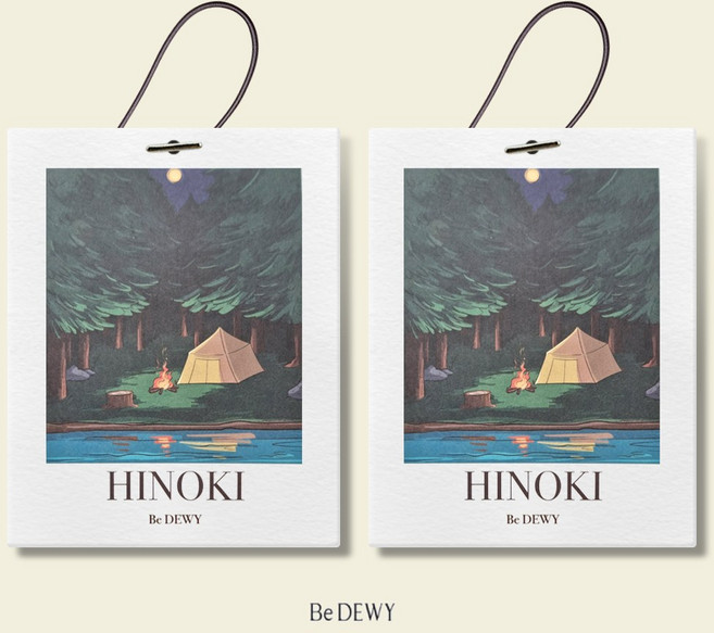 비듀이 퍼퓸 샤쉐 차량용 옷장 에어 프레셔널 20g 5종, 히노끼(HINOKI), 2개