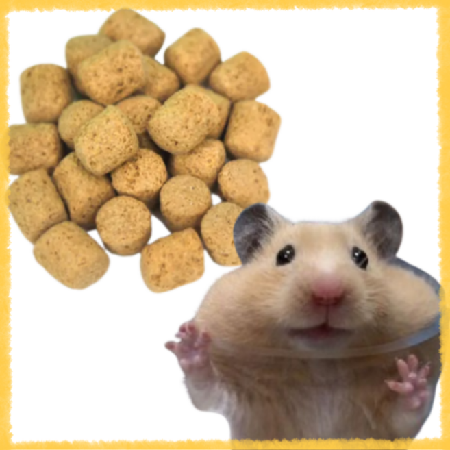 햄스터 래트 밥 대주 왕볼 익스 사료 이갈이 설치류 실험실, 1개, 100g