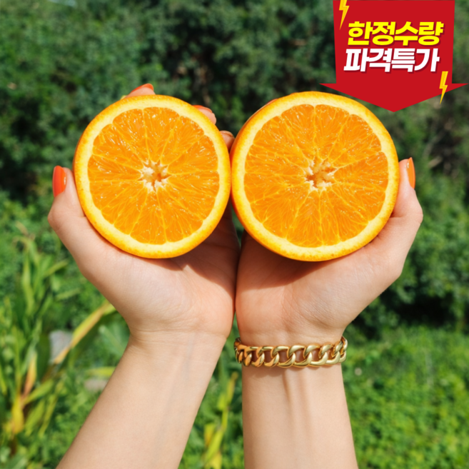 [최고급 퓨어스펙] 블랙라벨 프리미엄 네이블 오렌지 고당도 캘리포니아산 당도선별 대과 중소과, 20개, [실속중소과] 오렌지러버/4~5인가족/선물용