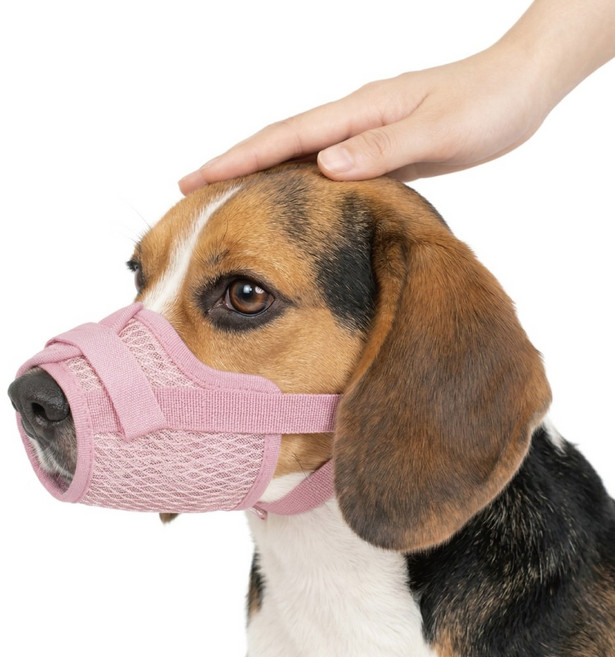 렛츠독 강아지 벨크로 경량 메쉬 입마개 산책용 훈련용 마스크 L, 메쉬핑크, 1개