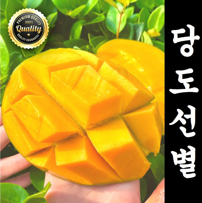 [도매가판매] 재구매1위 A급 꿀당도 애플망고, 1세트, 1kg