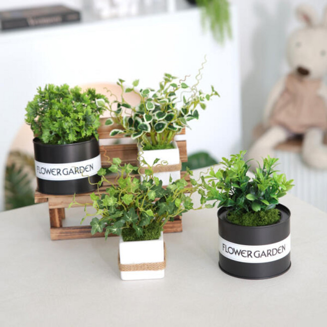 녹색 식물 아이비 조화 화분 그린 스킨 4종 set 15cm, 파세리