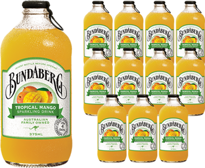 분다버그 트로피칼 망고 드링크, 375ml, 12개