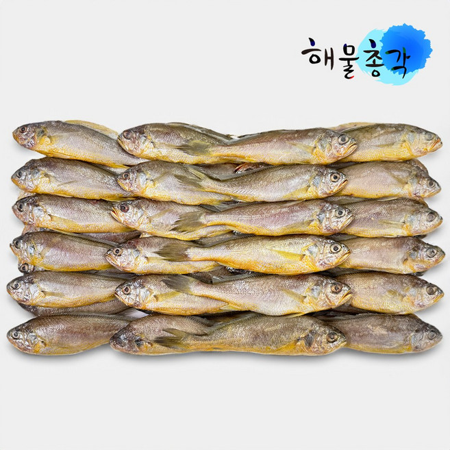 해물총각 싱싱 참조기 1박스 도매 매운탕 구이 튀김용, 1개, 3.5kg(50-52마리)