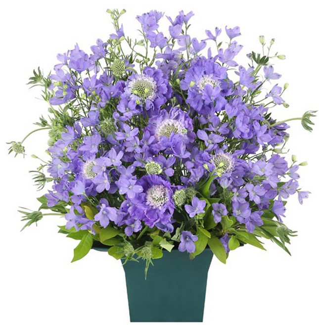 (오늘도착) 99플라워 풍성한 꽃바구니 "꽃의 여행" ST-A2084 - 생일 기념일 결혼기념일 당일꽃배달 전국당일배송 생화, 1개