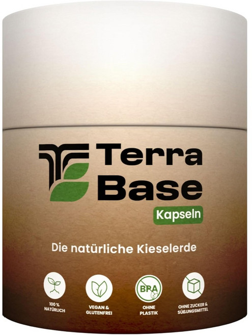 테라베이스 실리카 500mg 120캡슐, 1개, 120정