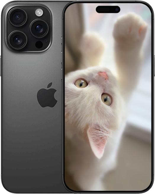 아E폰16 프로 맥스 미개봉 새상품, 512GB, 아이폰 16 Pro Max (블랙)