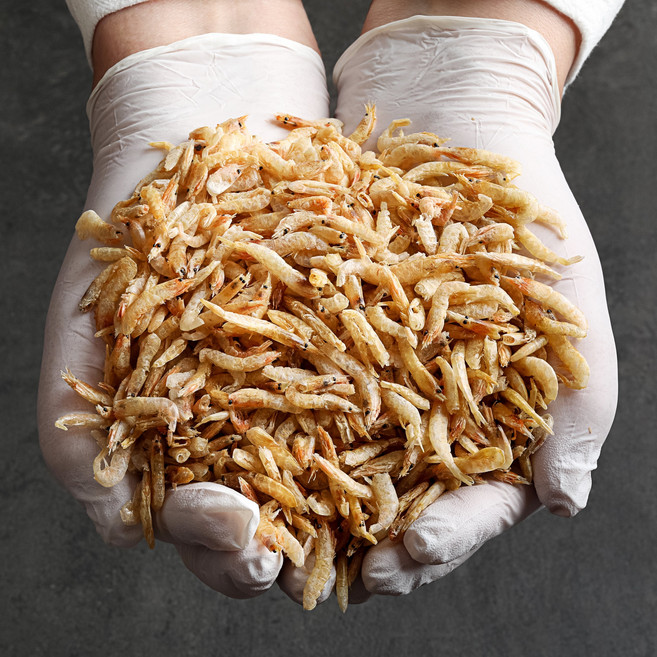 쇼어블룸 보리새우, 1개, 200g